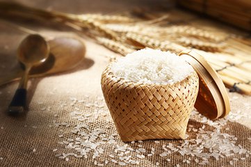 总经理XX在2008XX新品订货会上致欢迎词